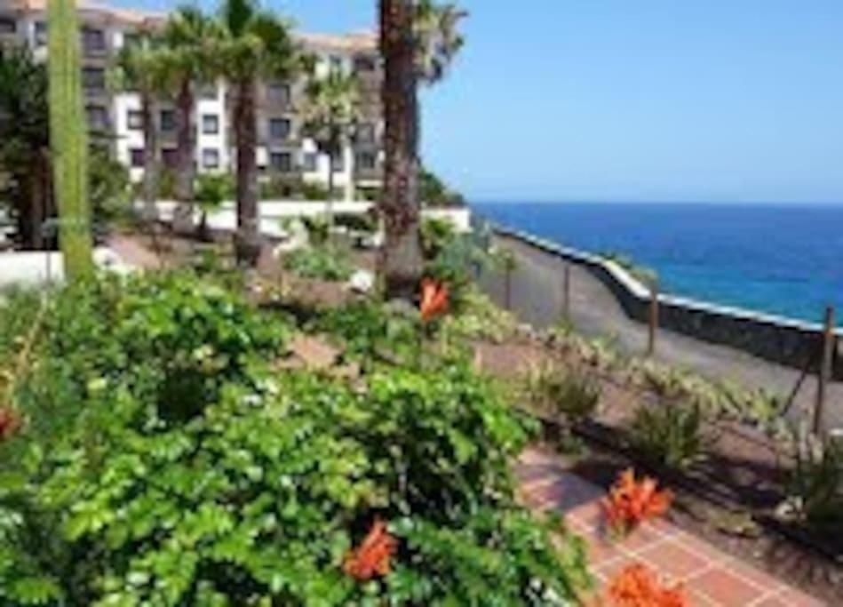 Amazing Seaview Balcon Del Mar Glass Veranda طوستا ديل سيلونثيو المظهر الخارجي الصورة